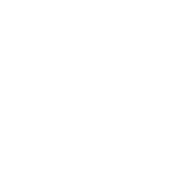 feature-item-4