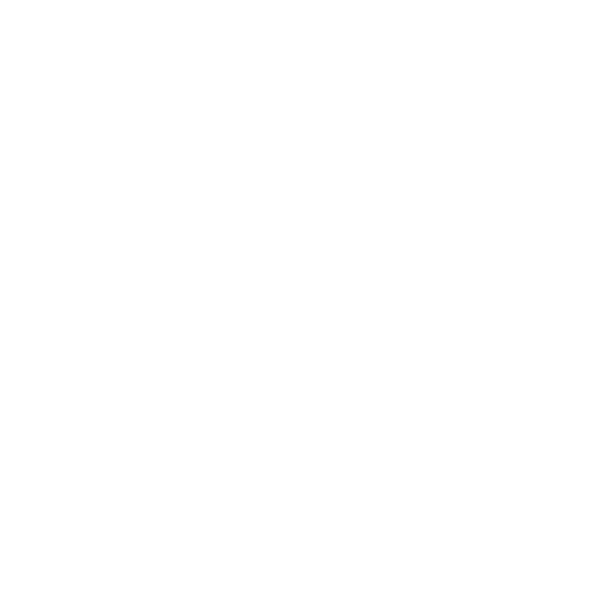 feature-item-2