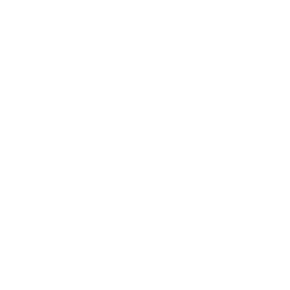 feature-item-1